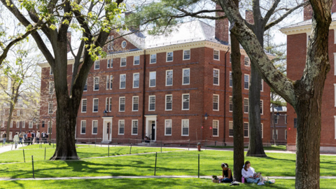 Harvard Yard.  Photo by Dylan Goodman