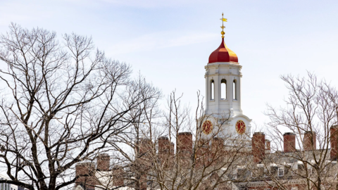 Harvard file photo