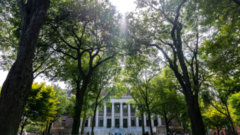 Widener Library in Harvard Yard.  Photo by Dylan Goodman