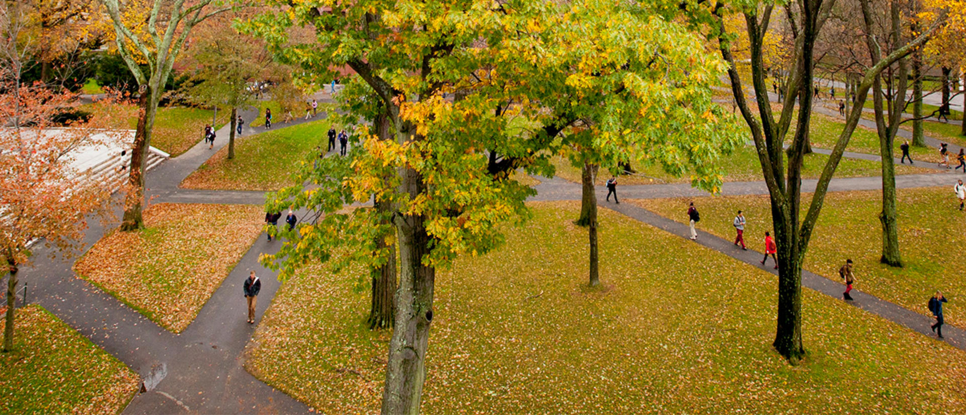 Harvard Yard