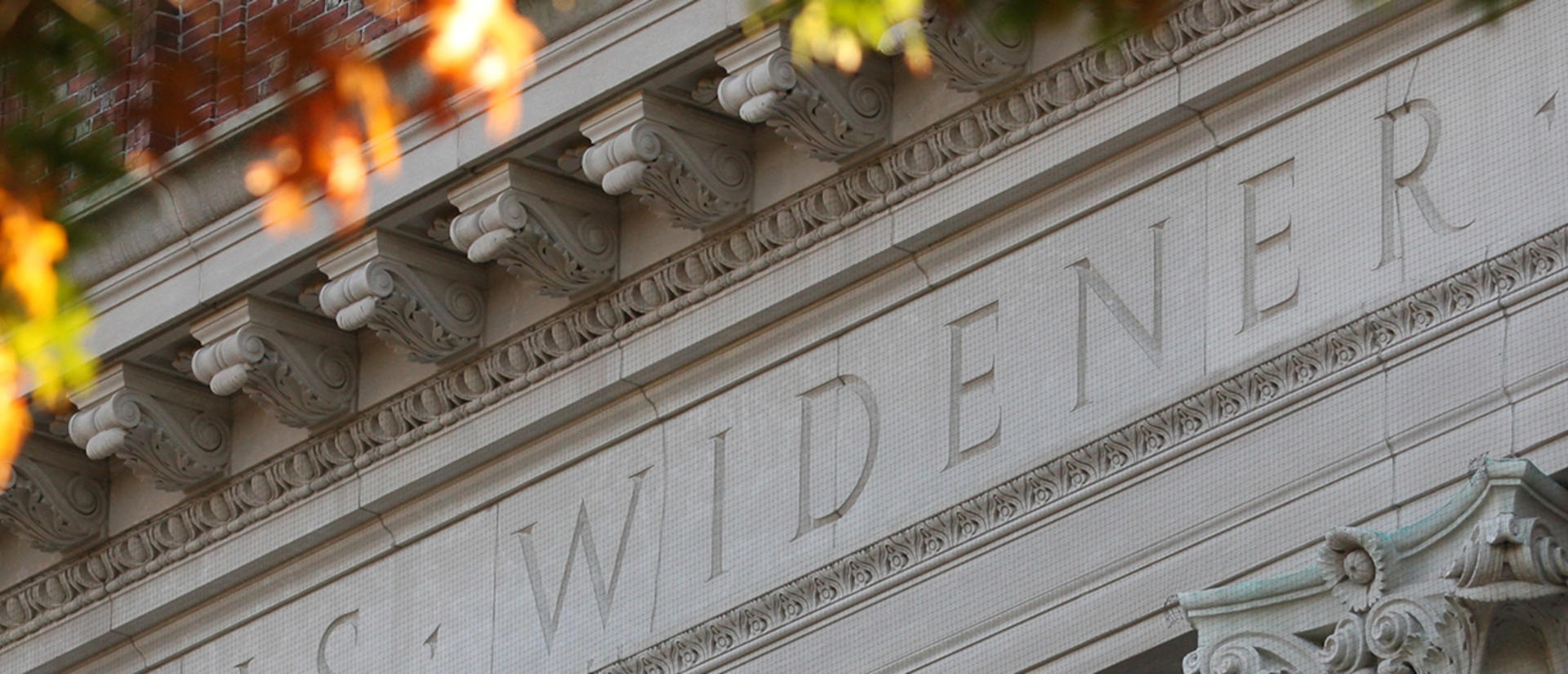 Widener Library, Harvard University